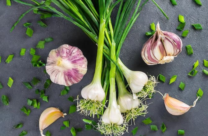 green garlic is one of vegetables you can grow in your house or garden
