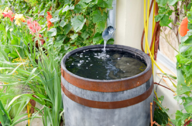 ways to reuse water at home