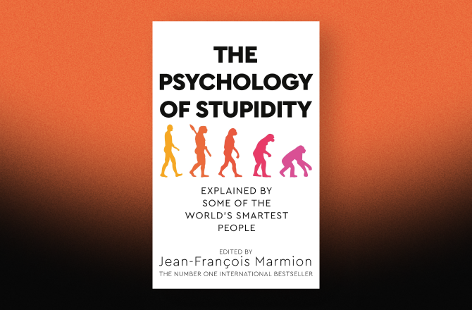  The Psychology of Stupidity
